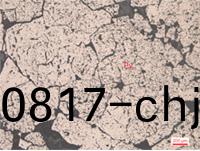 金(jin)属矿(kuang)物黄(huang)铁(tie)矿(kuang)呈(cheng)半(ban)自形(xing)晶(jing)粒状.jpg