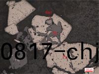 黄(huang)铁矿(kuang)被(bei)闪(shan)锌(xin)矿交代(dai)呈(cheng)骸(hai)晶(jing).jpg